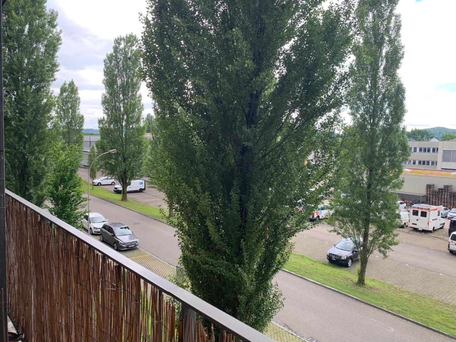 Rheinfelden Homestay 外观 照片